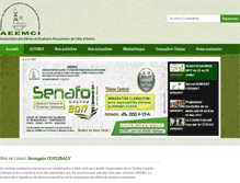 Tablet Screenshot of aeemci-ce.org